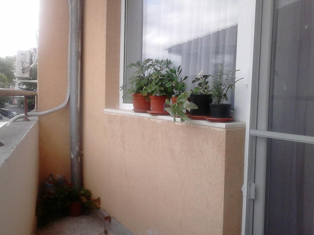 Luxury Apartment Lazur 2 Burgas Rum bild